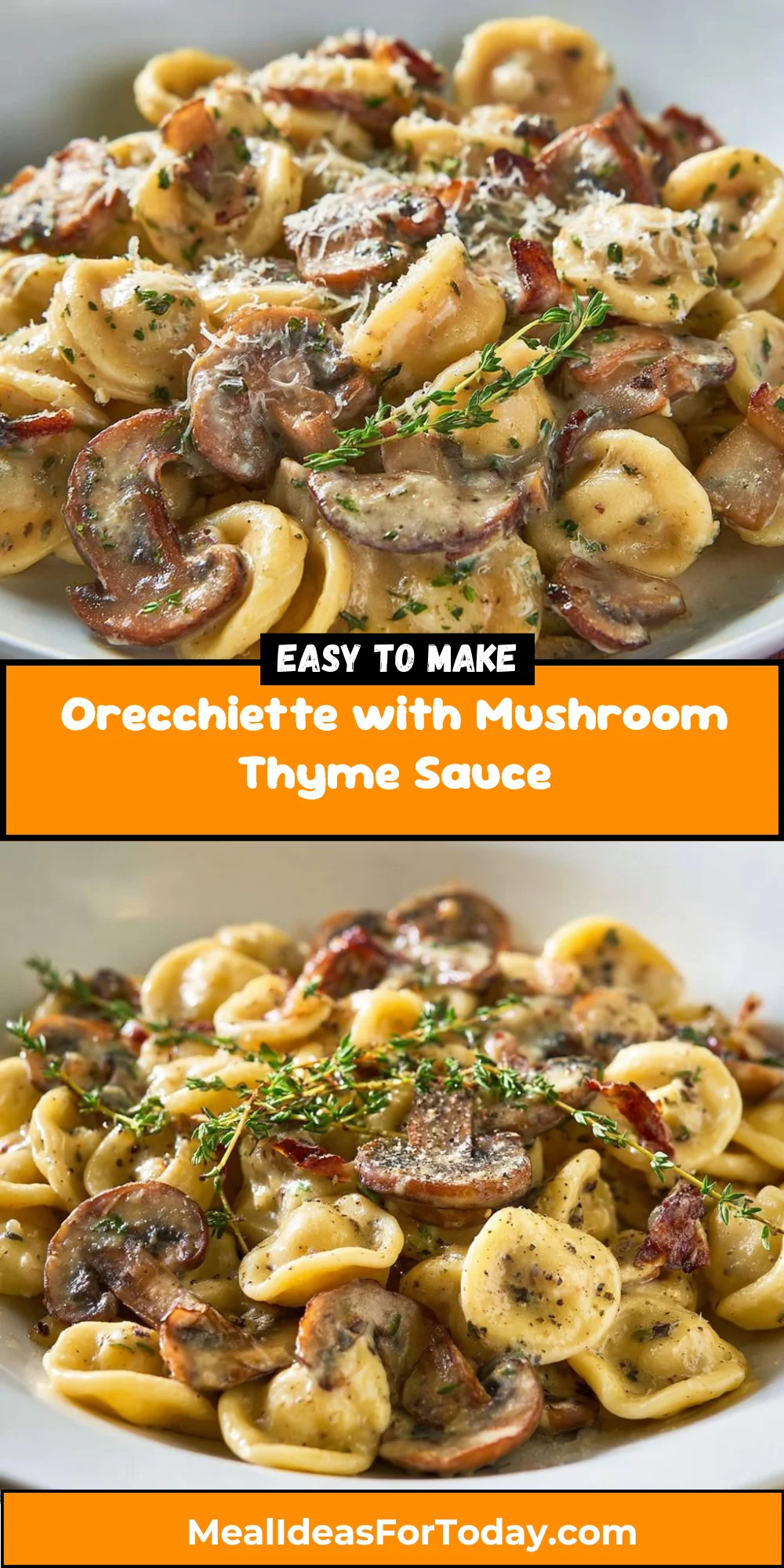 Orecchiette with Mushroom Thyme Sauce 2 Orecchiette with Mushroom Thyme Sauce